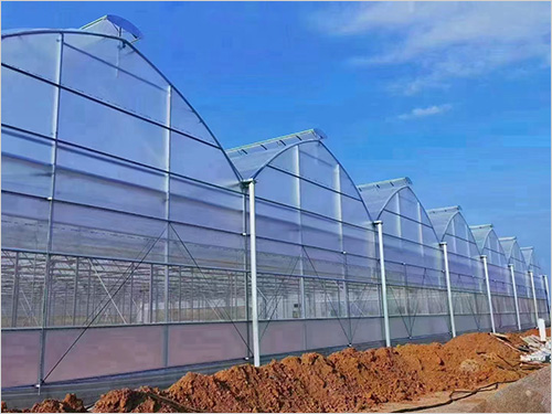 連棟溫室