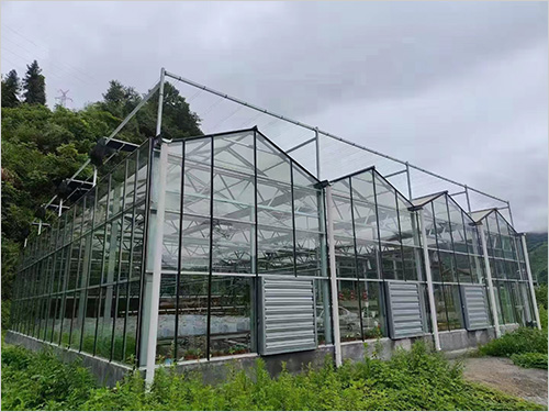 玻璃溫室大棚